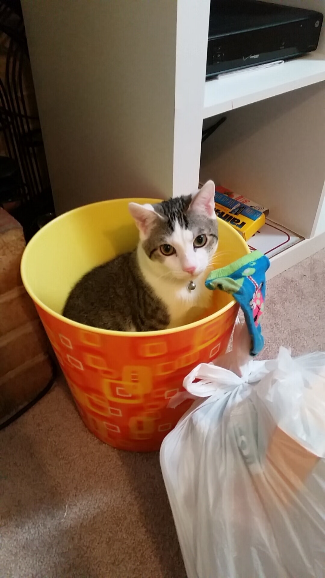 乡村广场舞运动会，传递健康与快乐，广场舞报幕词大全乡村